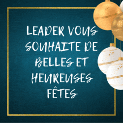 Bonnes fêtes