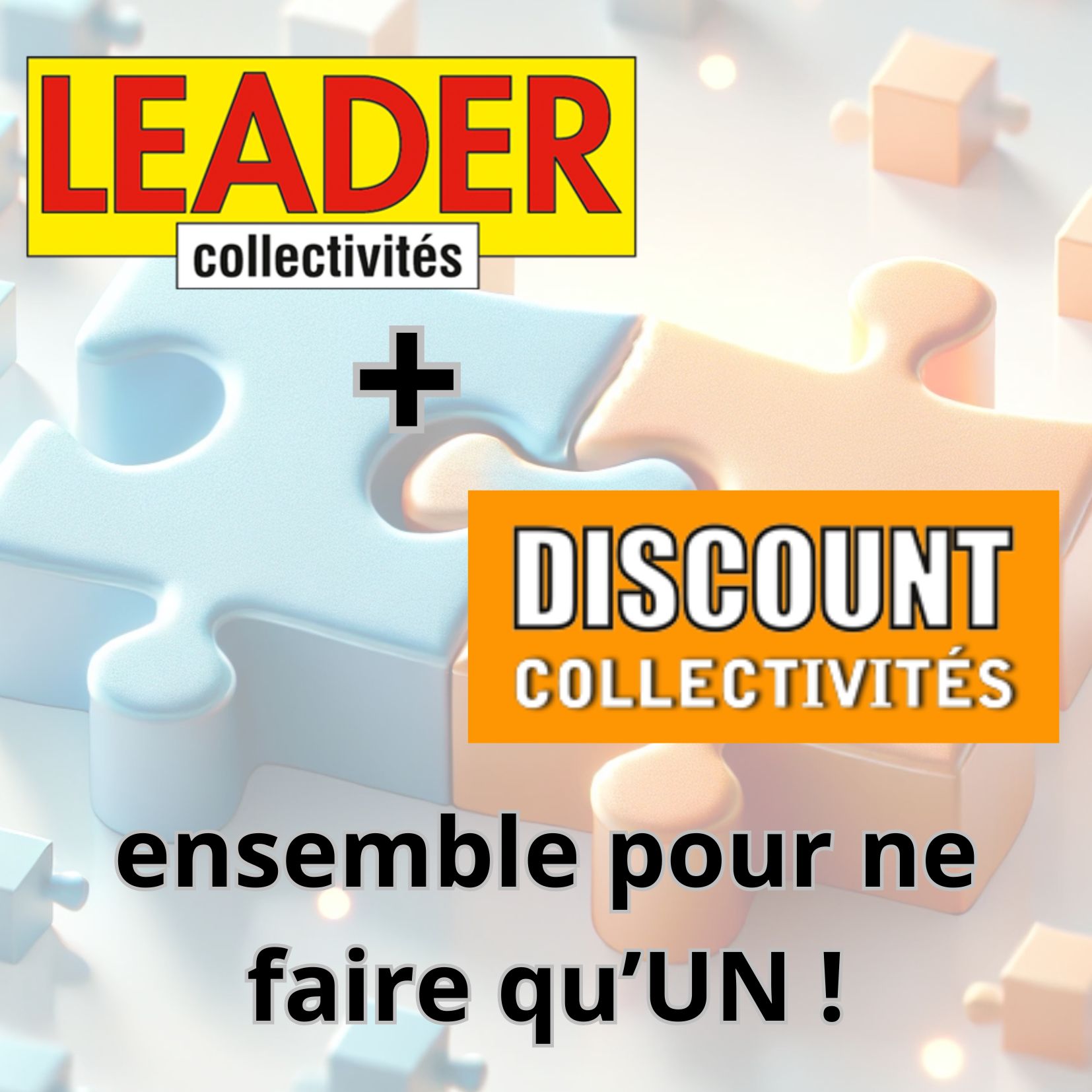 Leader Collectivités et Discount Collectivités